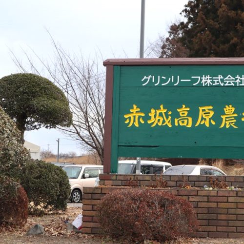 今週のおすすめ